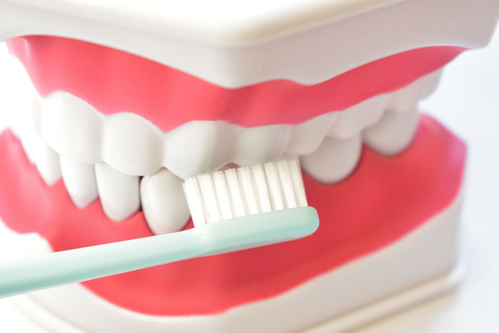 ブラッシング指導